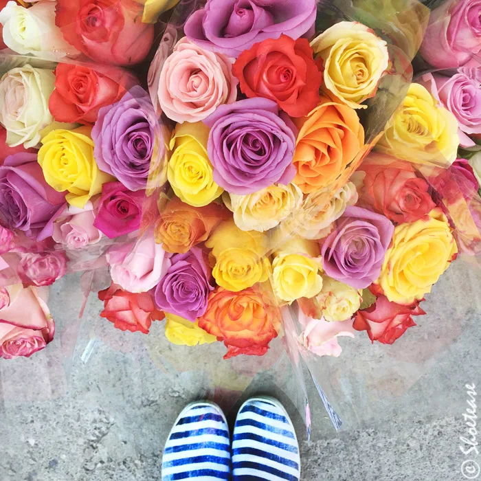 Shoefie Props Flowers Roses