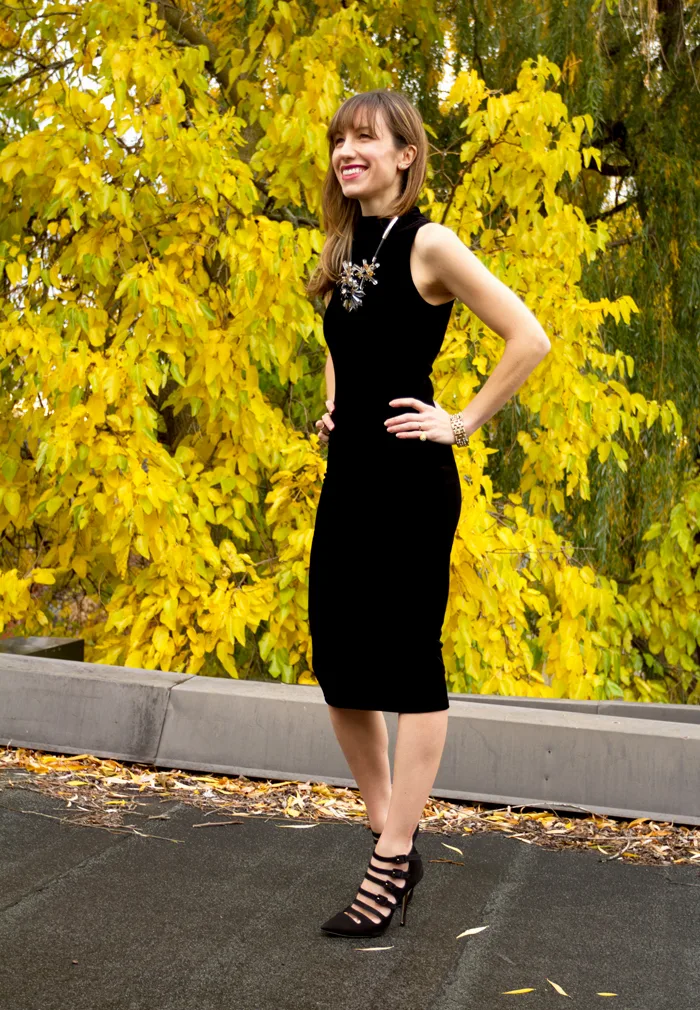 Le Chateau Shoes Luxe Black Velvet Dress 2