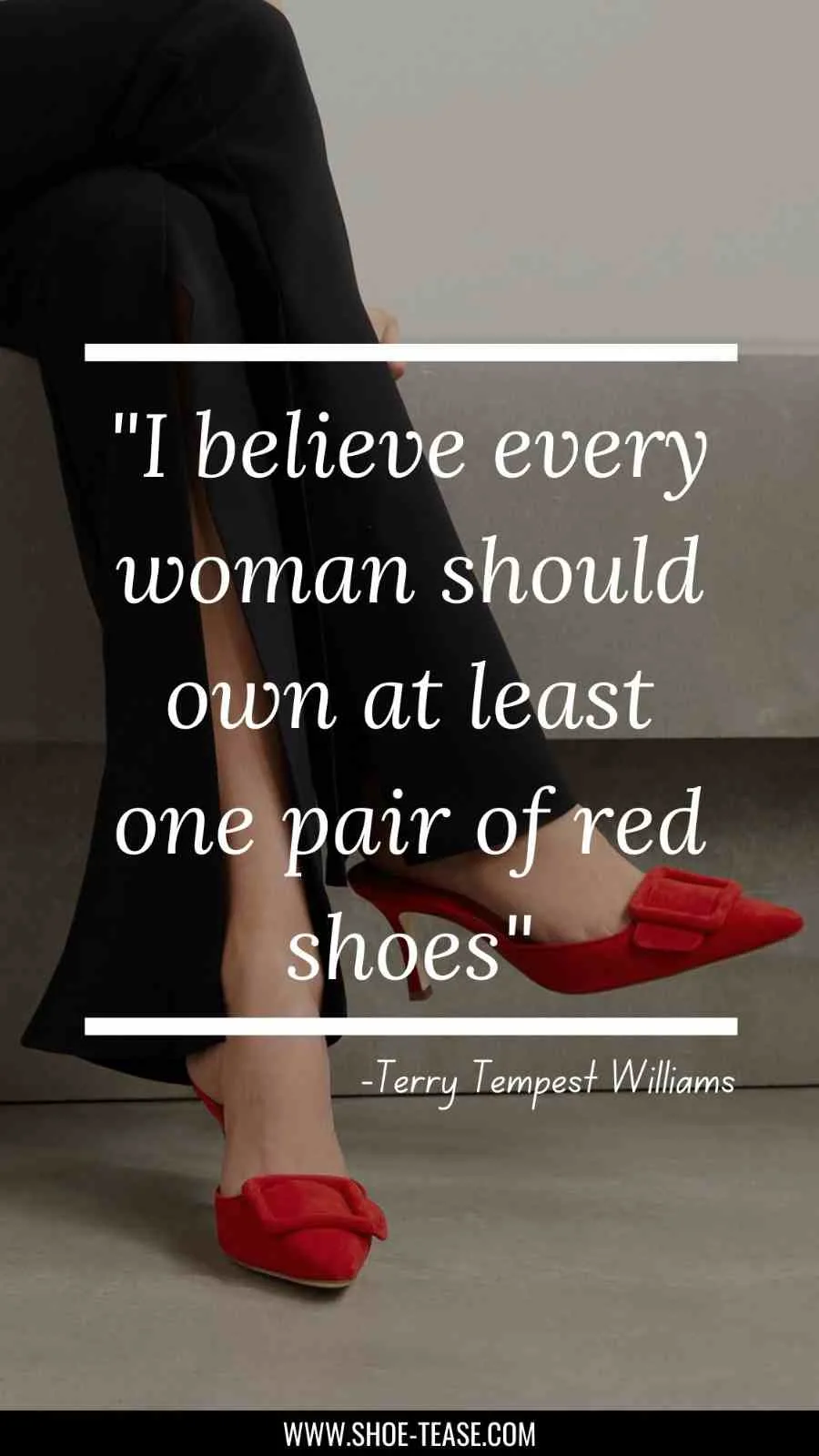 Funny Quote Fashion Illustration Featuring Stiletto Shoes Against A White  Background Photo And Picture For Free Download - Pngtree