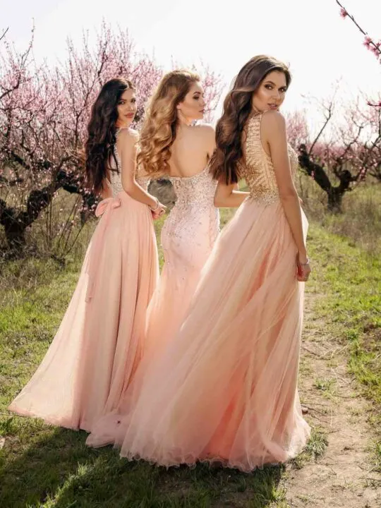 Jeheth Exquisite Peach Prom Dresses Off Shoulder 3d Flowers Backless Evening  Party Gown Tulle Spaghetti Straps فساتين للحفلات ال - Prom Dresses -  AliExpress