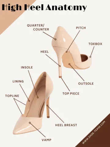 Text High Heel Anatomy over front and back view of a blush pink high heel shoe with various parts of the heel named and indicated with arrows.