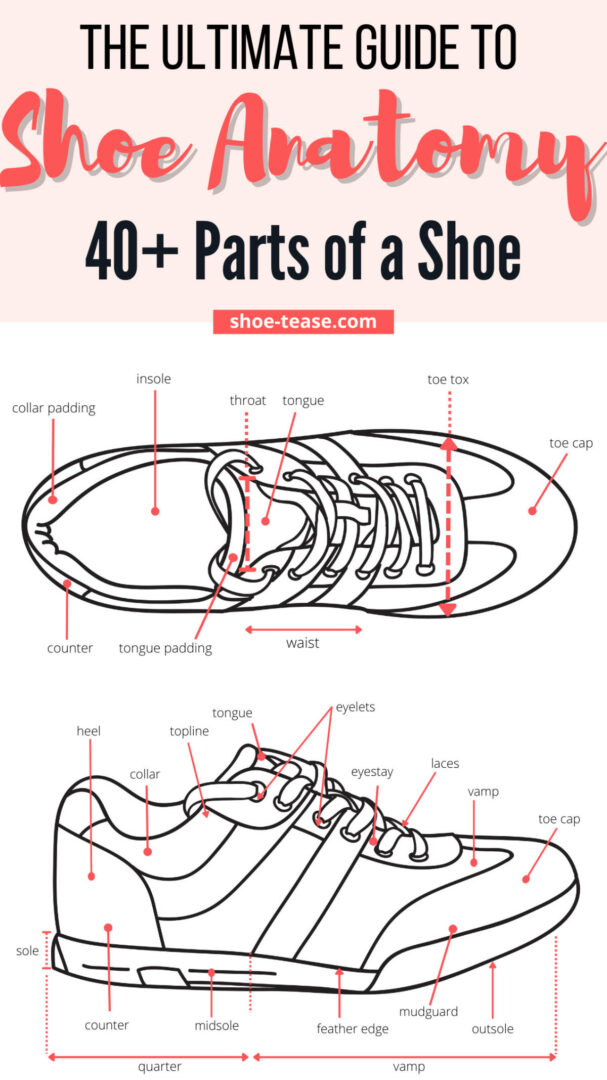 Shoe Anatomy Guide 40+ Different Parts of a Shoe with Names & Images