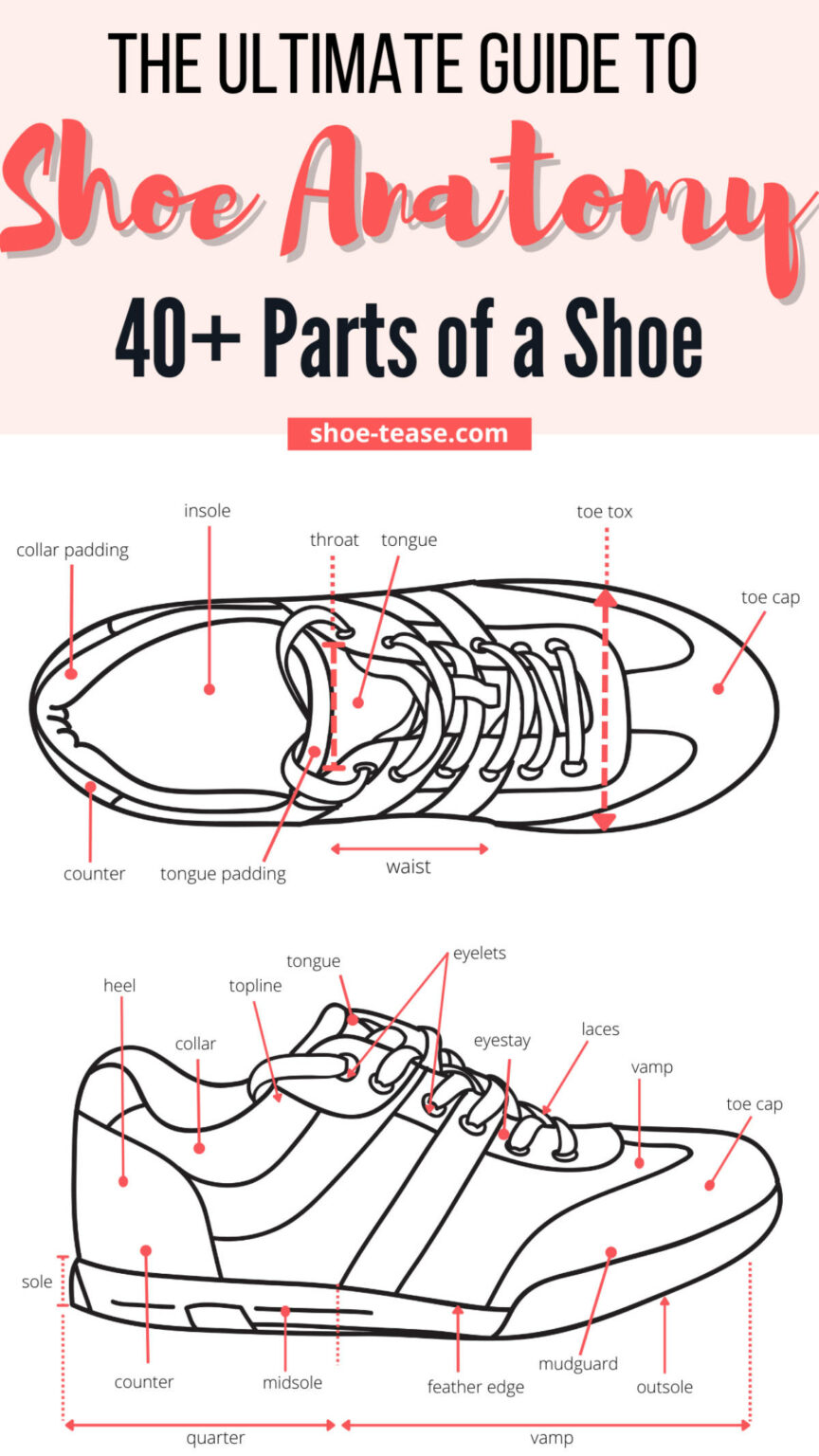 Shoe Anatomy Guide 40+ Different Parts of a Shoe with Names & Images