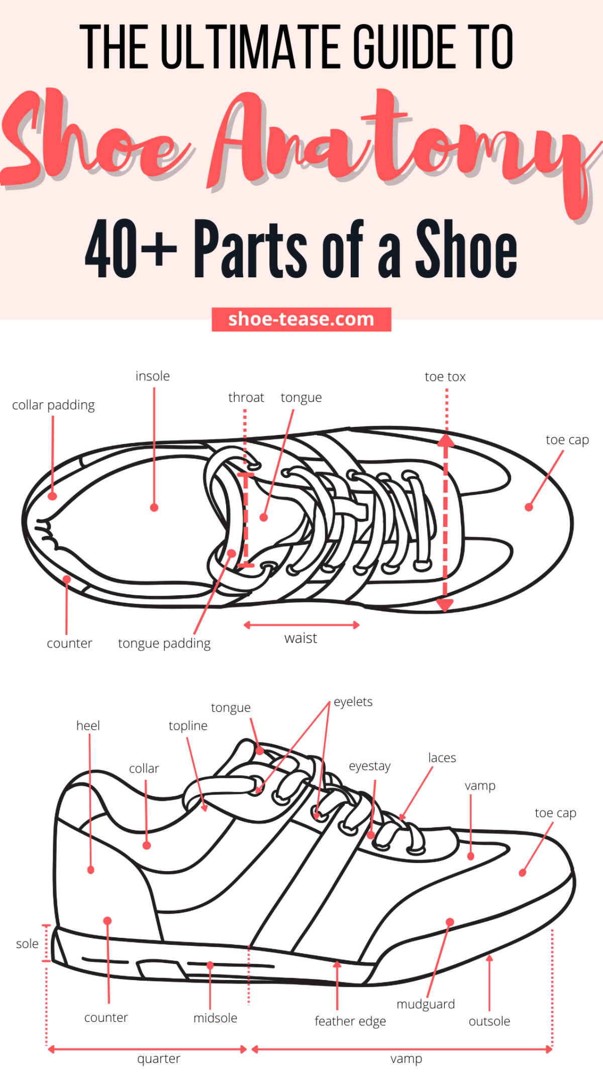 Text reading the ultimate guide to shoe anatomy 40 plus parts of a shoe over a top and side view line drawing of a shoe with various parts of the shoe indicated with pink arrows.
