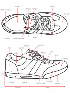 Shoe Anatomy Guide - 40+ Different Parts of a Shoe with Names & Images