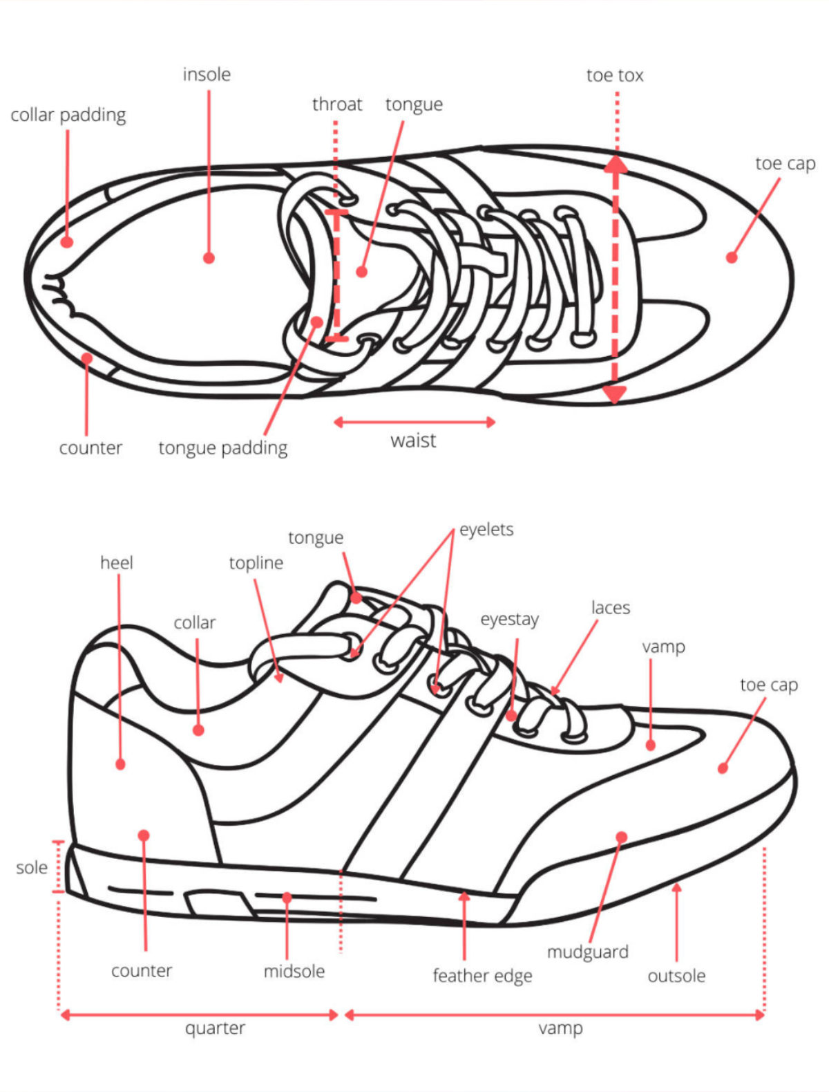 Shoe Anatomy Guide - 40+ Different Parts of a Shoe with Names & Images