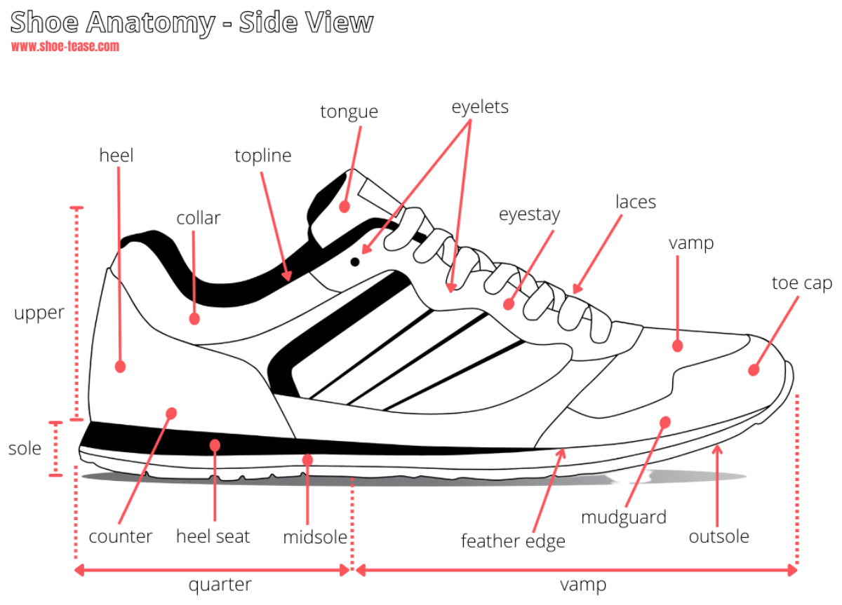 Shoe anatomy diagram of a shoe drawing side view with various parts named with pink arrows.