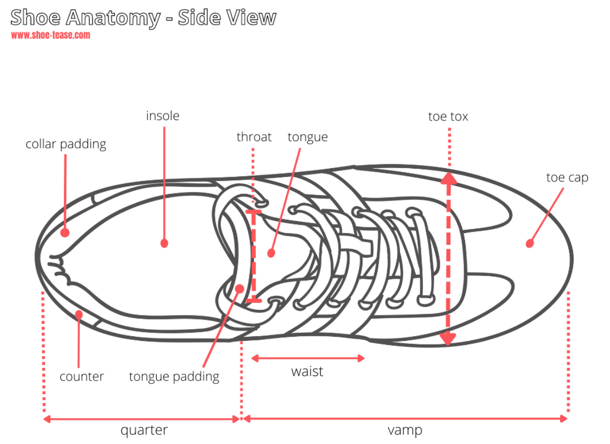 Shoe anatomy diagram with top view drawing of a shoe with various parts of the shoe named with pink arrows.